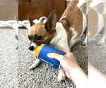 Small #3 Chug