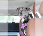 Small #38 Blue Lacy Mix