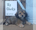 Image preview for Ad Listing. Nickname: Brooke