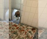 Small #1 Fila Brasileiro