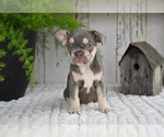 Image preview for Ad Listing. Nickname: Sophie