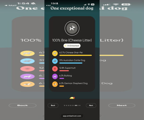 Medium Photo #2 Mutt Puppy For Sale in New London, WI, USA