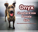 Small #3 Breeder Profile image