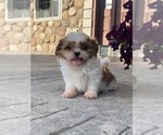 Image preview for Ad Listing. Nickname: Star
