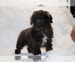 Image preview for Ad Listing. Nickname: Ice man
