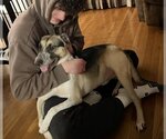 Small #11 Mutt