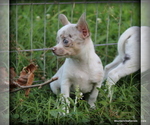 Image preview for Ad Listing. Nickname: Alita merle