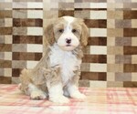 Image preview for Ad Listing. Nickname: Jack