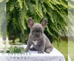Image preview for Ad Listing. Nickname: Jack