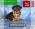 Image preview for Ad Listing. Nickname: Hamilton