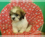 Image preview for Ad Listing. Nickname: ROY
