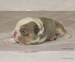 Small #4 Bulldog