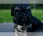 Small #2 Poovanese