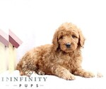 Image preview for Ad Listing. Nickname: Layla