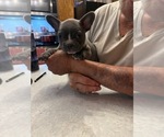 Image preview for Ad Listing. Nickname: Gunnar