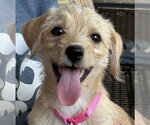 Bonnie - 
