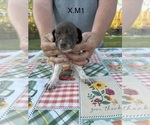  - Photo #2