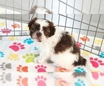 Image preview for Ad Listing. Nickname: Ella