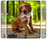 Image preview for Ad Listing. Nickname: Kenny