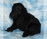 Image preview for Ad Listing. Nickname: black girl