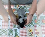 - Photo #4
