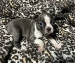 Image preview for Ad Listing. Nickname: Fiona