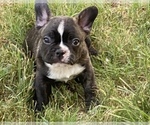 Image preview for Ad Listing. Nickname: Cutie
