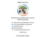 Small #5 American Staffordshire Terrier