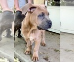  - Photo #7