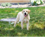 Image preview for Ad Listing. Nickname: Saturn