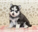 Image preview for Ad Listing. Nickname: Alex