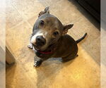 Small #21 Mutt