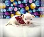Image preview for Ad Listing. Nickname: Levi