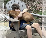 Small #16 Mutt