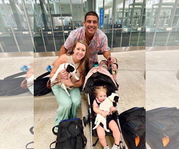 Medium Photo #5 Labrador Retriever-Unknown Mix Puppy For Sale in Sanford, FL, USA