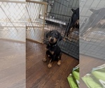 Image preview for Ad Listing. Nickname: Green collar