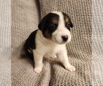 Image preview for Ad Listing. Nickname: Girl 1