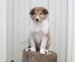 Image preview for Ad Listing. Nickname: Albert