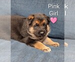 Image preview for Ad Listing. Nickname: Pink girl