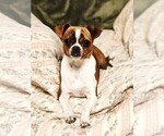 Image preview for Ad Listing. Nickname: Izzy