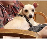 Small #3 Jack Chi