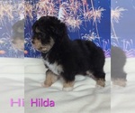 Image preview for Ad Listing. Nickname: Hilda