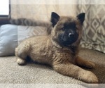 Image preview for Ad Listing. Nickname: Paul