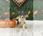 Small #2 Breeder Profile image