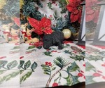  - Photo #3