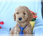 Image preview for Ad Listing. Nickname: Henry