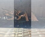  - Photo #3