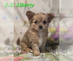 Image preview for Ad Listing. Nickname: Liberty