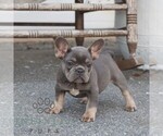 Image preview for Ad Listing. Nickname: Darcy