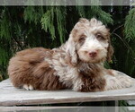 Image preview for Ad Listing. Nickname: Dale